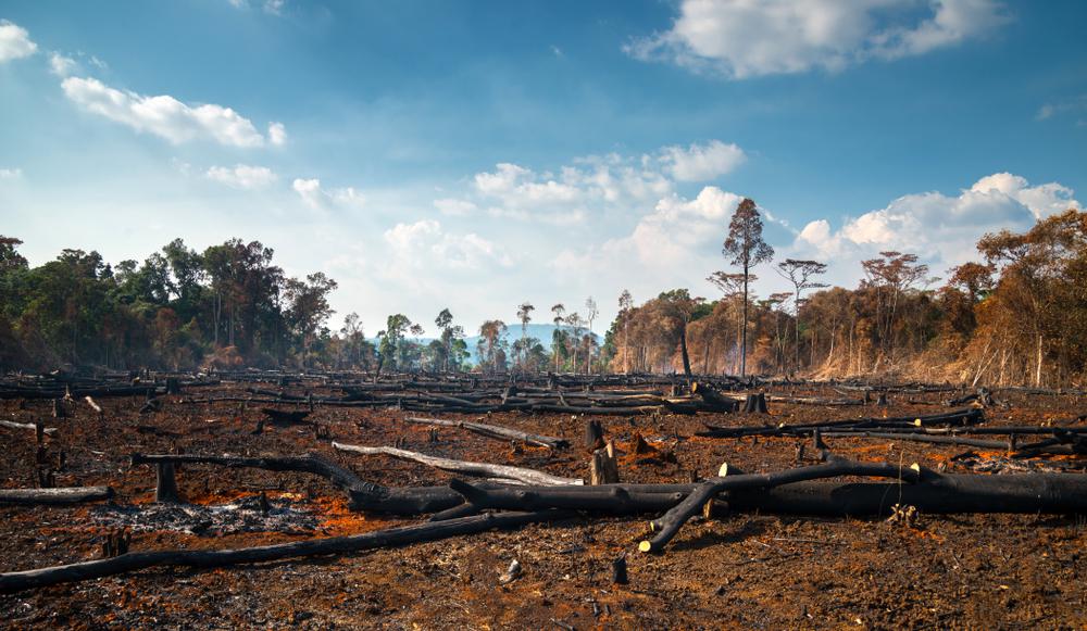 ENVIRONMENTAL DAMAGE IS A WAR CRIME, SCIENTISTS SAY - Haultail On ...