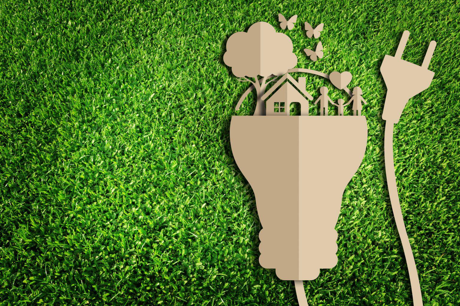 6 Effective Ways to Live an Eco-Friendly Lifestyle in 2020 - Haultail ...